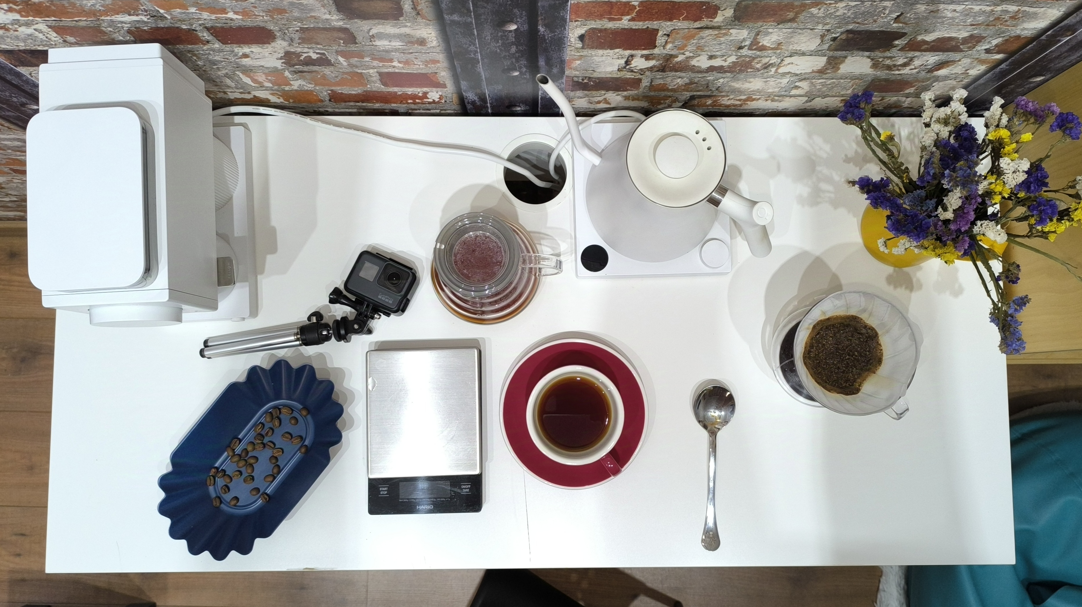 Café de Uganda: variedades sl14 y sl28