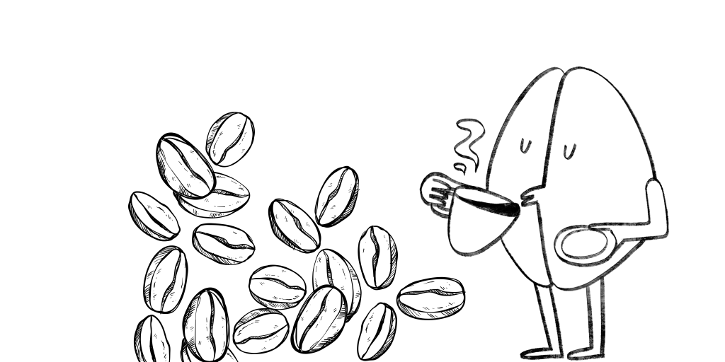 Maragogype: Todo lo que quieres saber del café&nbsp;elefante