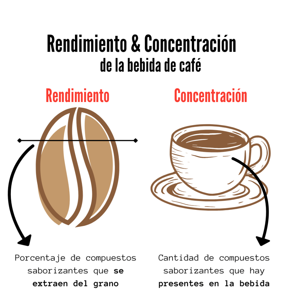 Distinción entre concentración y rendimiento de la bebida de café